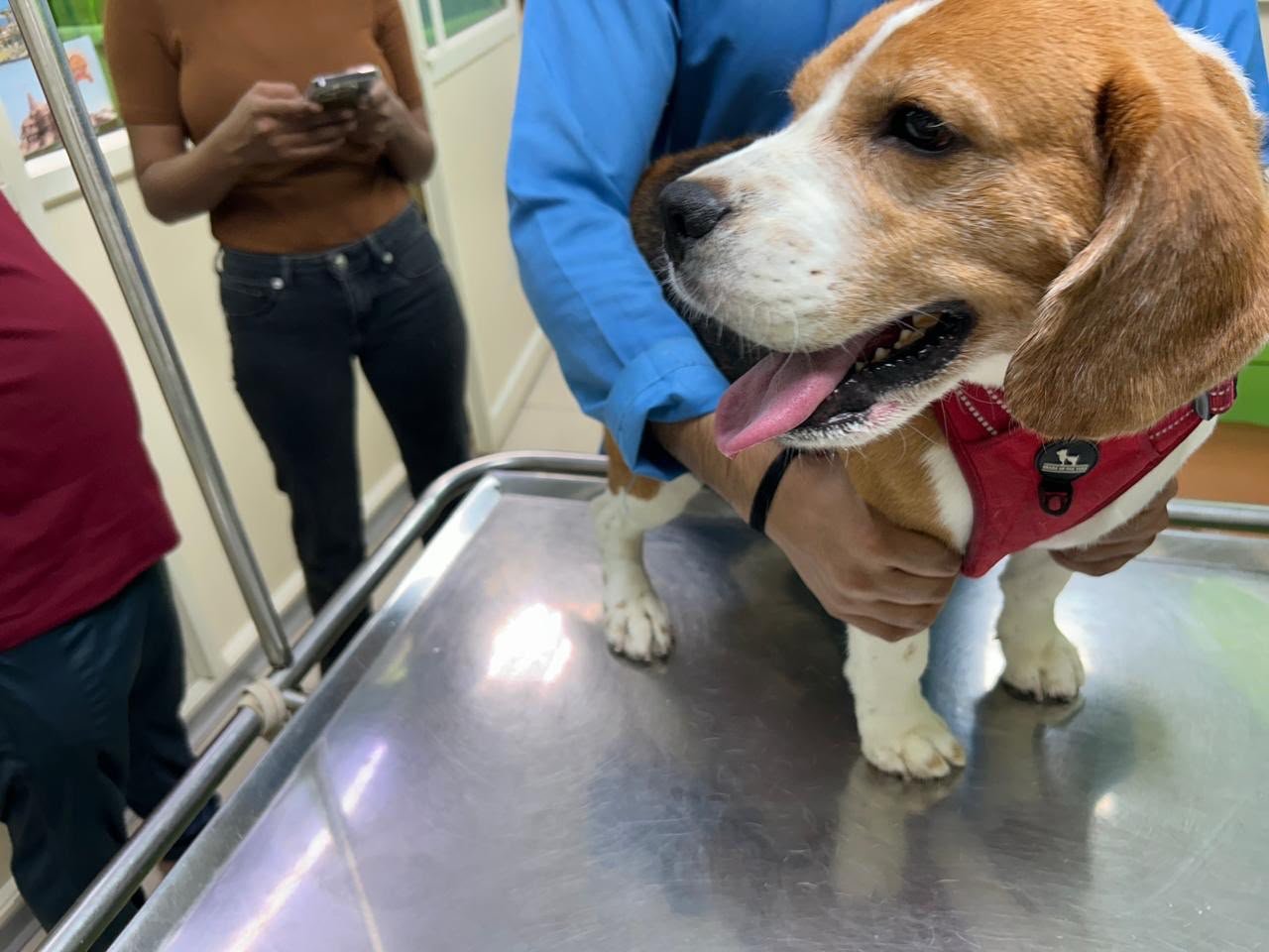 Golf Course Vets clinic and pet care